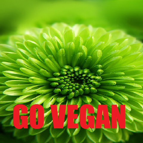 vegan,komünist