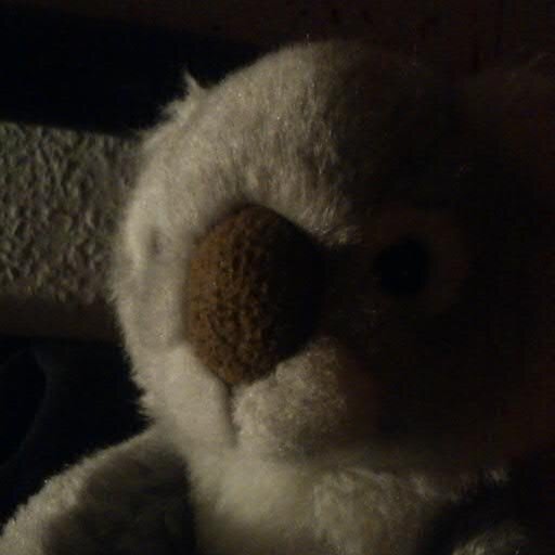 JesusTheStoned's profile picture. er/ihm
he/him