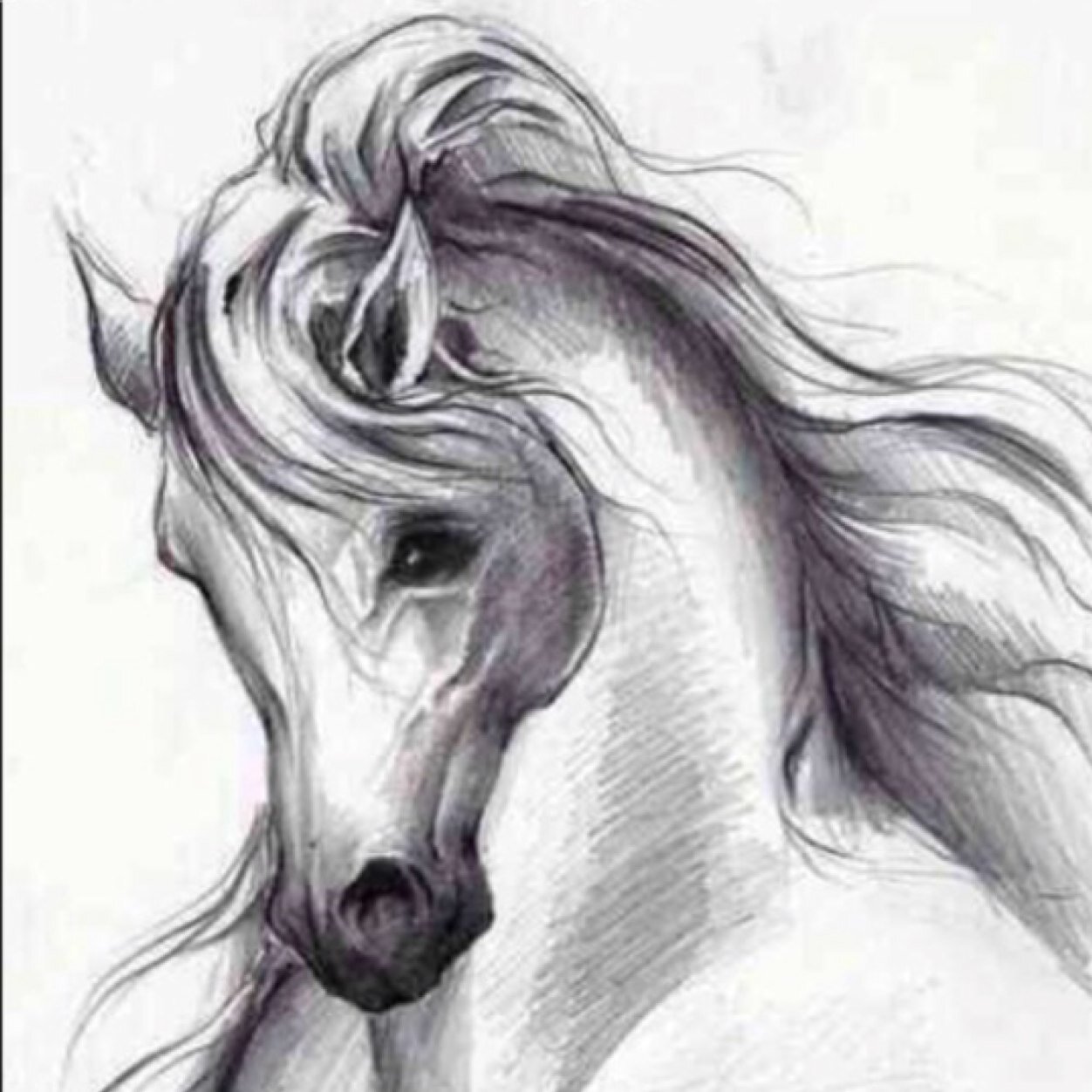 سبحان الله والحمدلله ولا اله الا الله والله اكبر* يقال بأن الحب دعاء ، فأن غاب جسدي عن الدنيا اذكروني بدعواتكم ♡