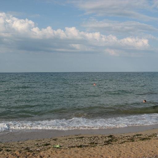 triolansss's profile picture. 