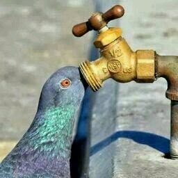 ‏‏ احب الكسسس شهوه بقوووه من اﻻخير نييييييك وخﻻص