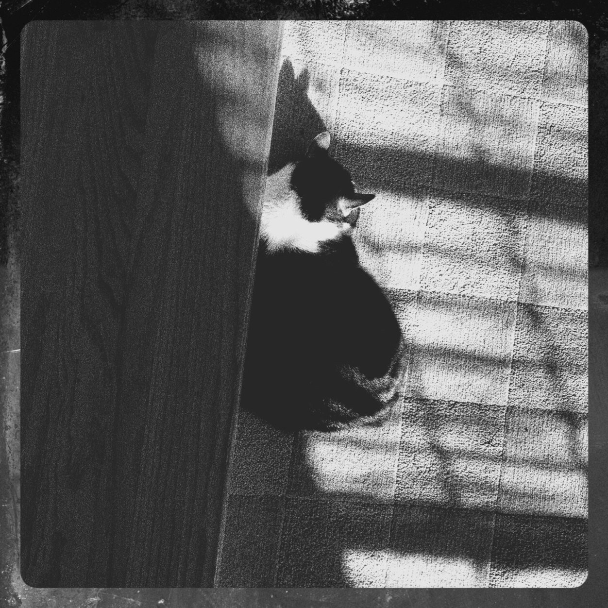 TheMirandaCox's profile picture. 