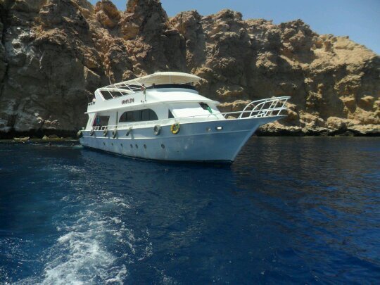 we are a company for all kind of excretion in all over Egyptian
