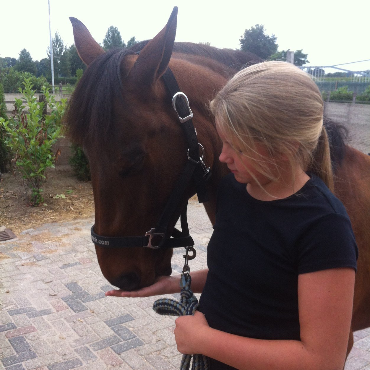 11jr/donkerblond/gr8/paardrijden