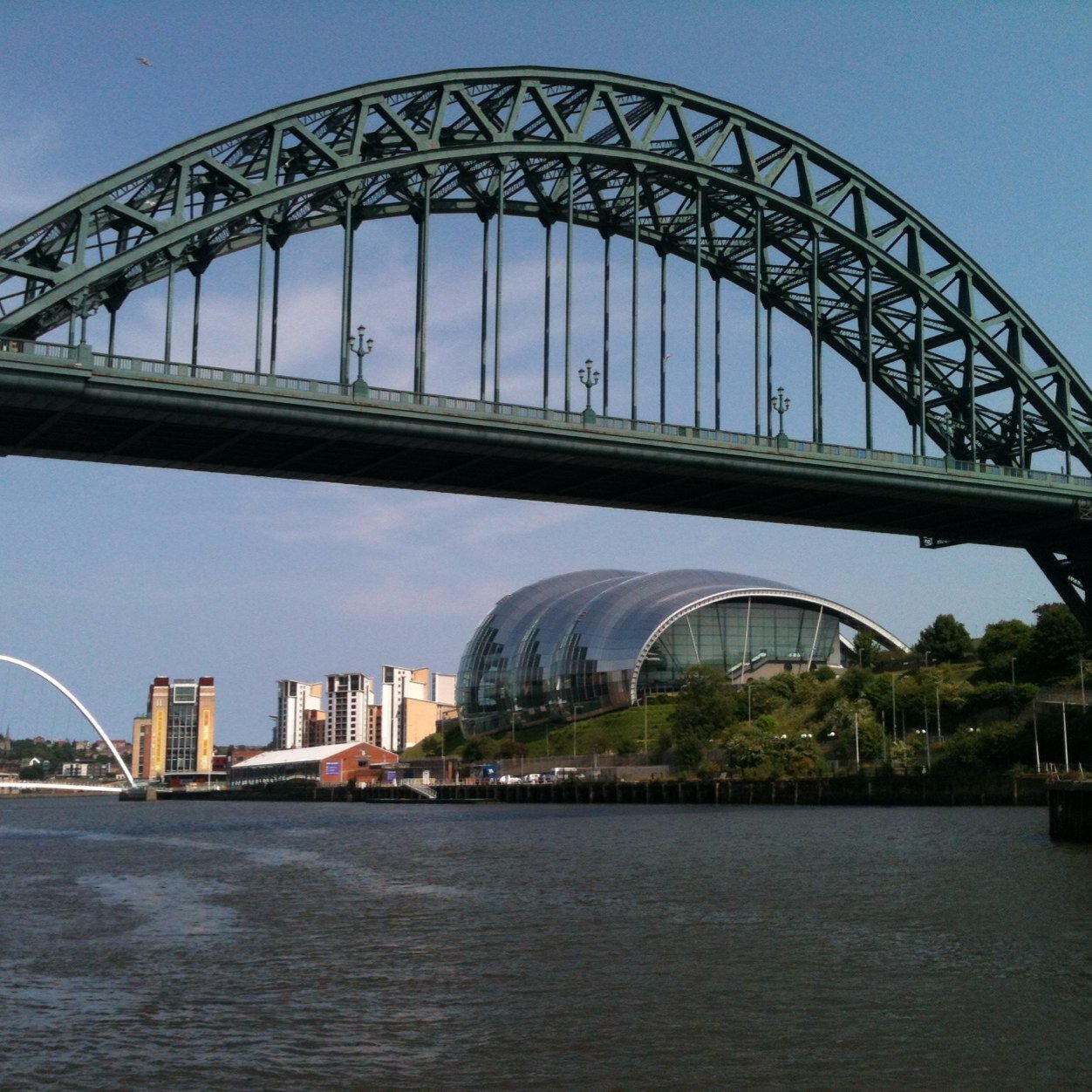 daveyrose23's profile picture. 