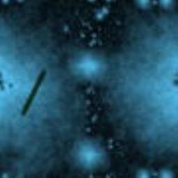 subtypeslyLayol's profile picture. 