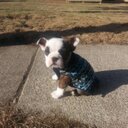 Ann Howard - @ItsAnnHoward - Twitter