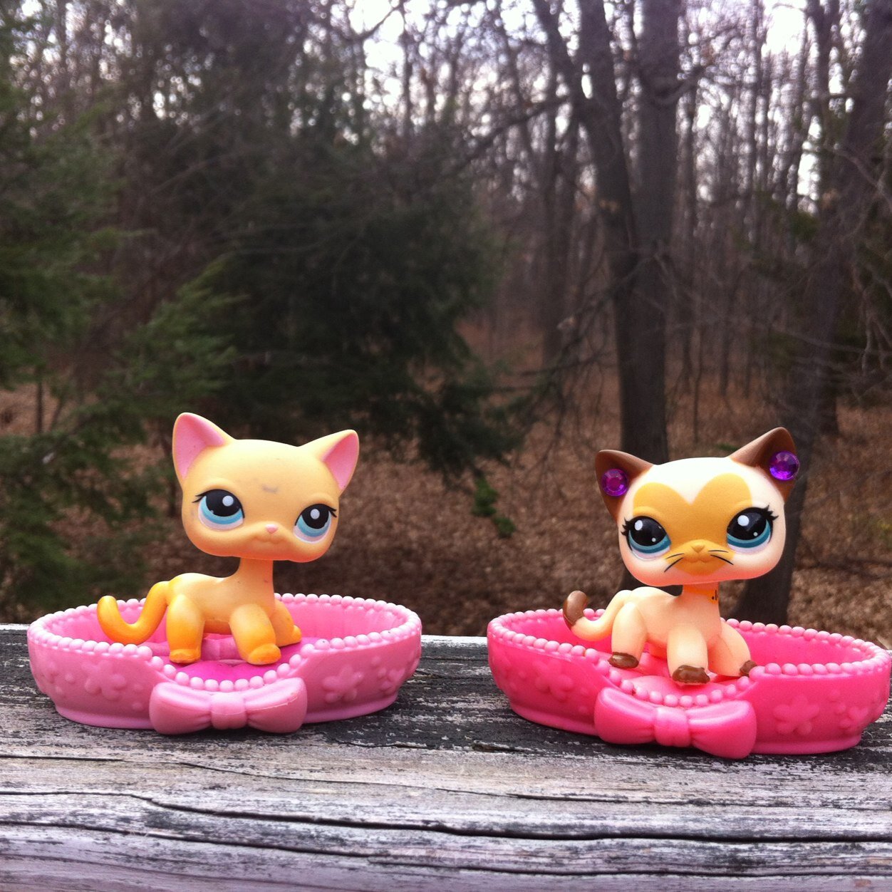 Hi im ivy and my hoby is to play with my LPS (Littlest Pet Shop) im 12 years old. I started collecting since i was 9 or 10 years old. I watch youtube everyday.