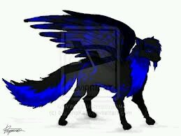 hi im CJ i love to music # pack @bellathewolfx @xxxplaywithmexx @JZThewolf# playful #fun#i can turn to any color #i have wings