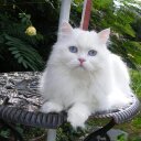 Eileen Lutz - @EileenLutz1 - Twitter