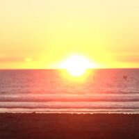 Heather Westgaard (@hwestgaard1) 's Twitter Profile