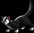 Sad since her mom died.. Sweet & carring. Ma @WarriorCats85 Da @Spark_The_Loner 7 moons PowerClan Kits @ShadowSwift_ & @BadgerBark Mate @ArrowStrikes
