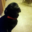 steven baxley - @magszip2003 - Twitter