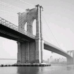 WhereWhenWhatWh's profile picture. 