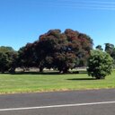 Alan Beagle - @AlanBeagle - Twitter