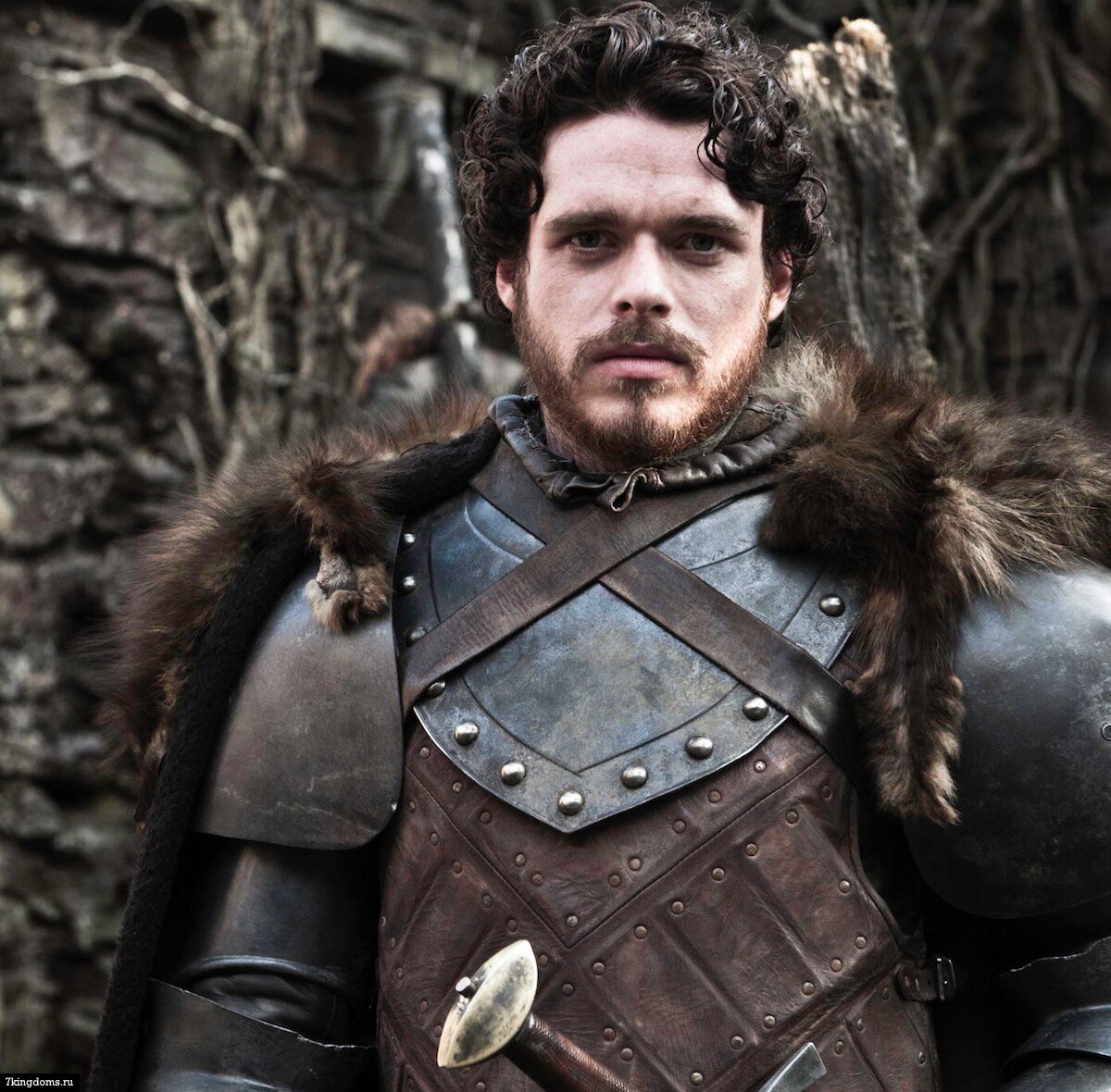 I Am A Robb Stark, King In The North. I Hate The Lannisters,  Brother Of @VengefulStark  @SansaAlayne