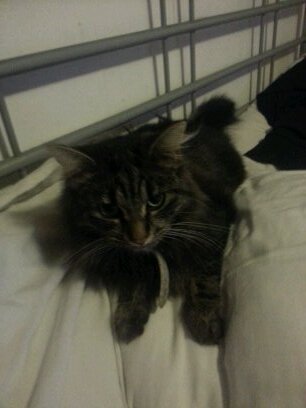 deakes_karen's profile picture. 