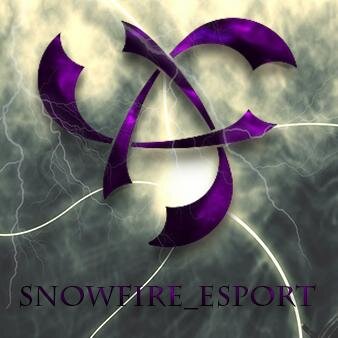 SF_DSTY's profile picture. Twitter du roster COD Xbox One Destinity   composé de  @iDraZa_ @TeyWaR_FR et  / Représente @SnowFire_eSport