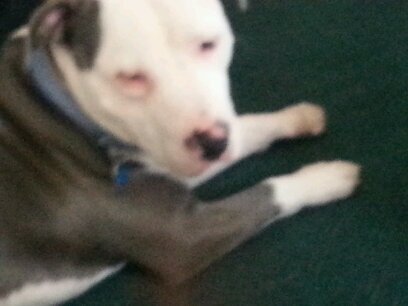 pattyyoung87's profile picture. 