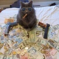 Deadcat 🎱 Bill (@getbillasap) 's Twitter Profile
