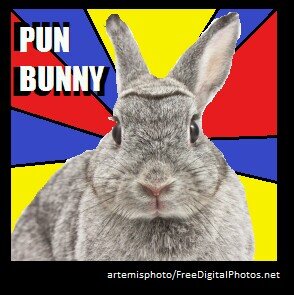Pun Bunny Smooth Punny --
I observe you are displeased