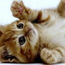 Gislene Machado  - @gislenediva - Twitter