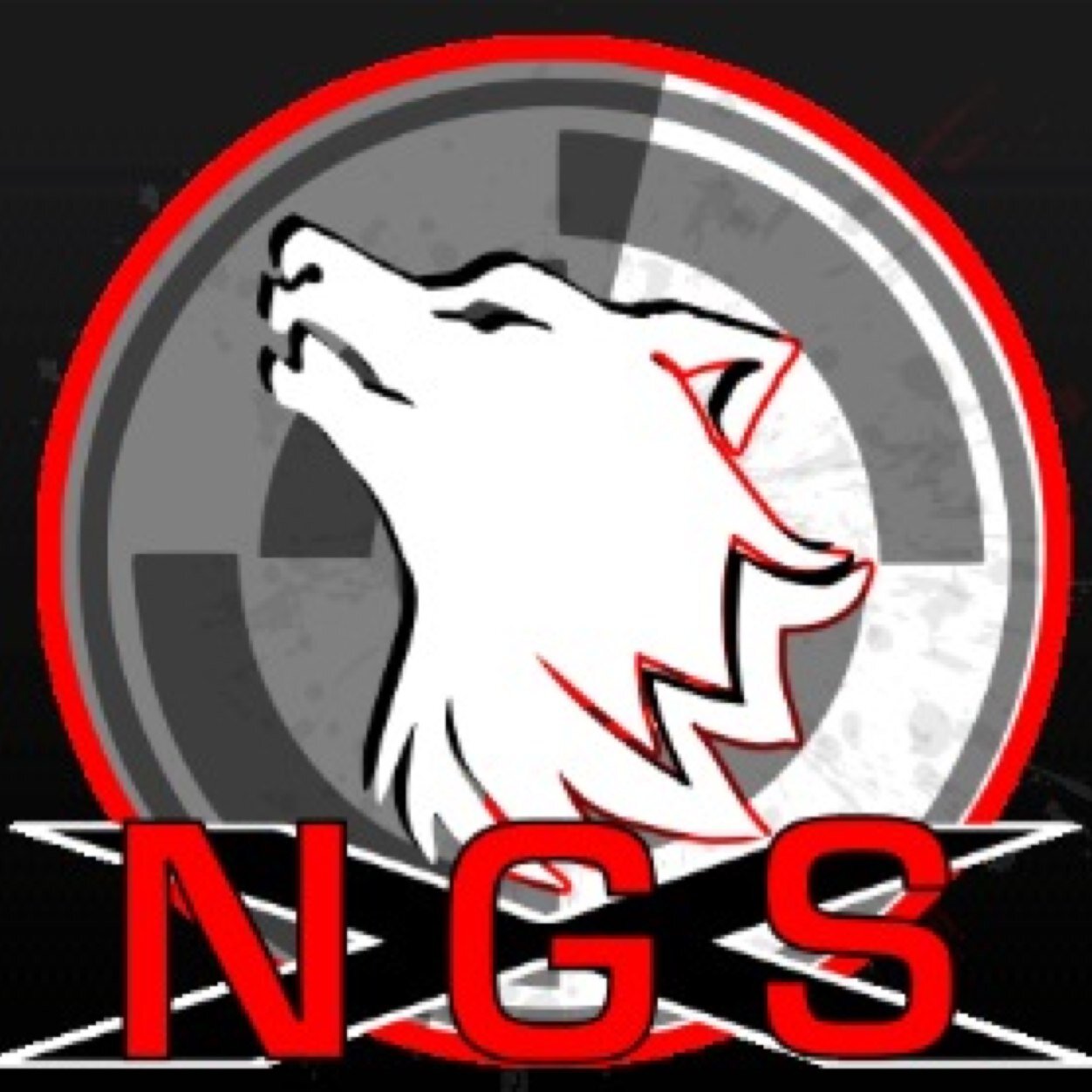 NGS_MLG's profile picture. Find Us On PS3!
-Jacoby-73 (Commander)
-Fizbo44 (Lt. Commander)
-BlazeDude_54 (Lt. Commander)