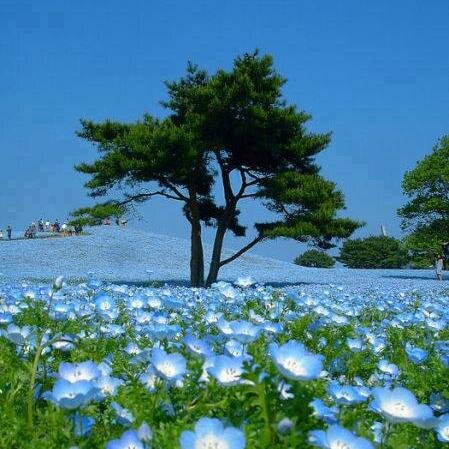 britsmaya's profile picture. 