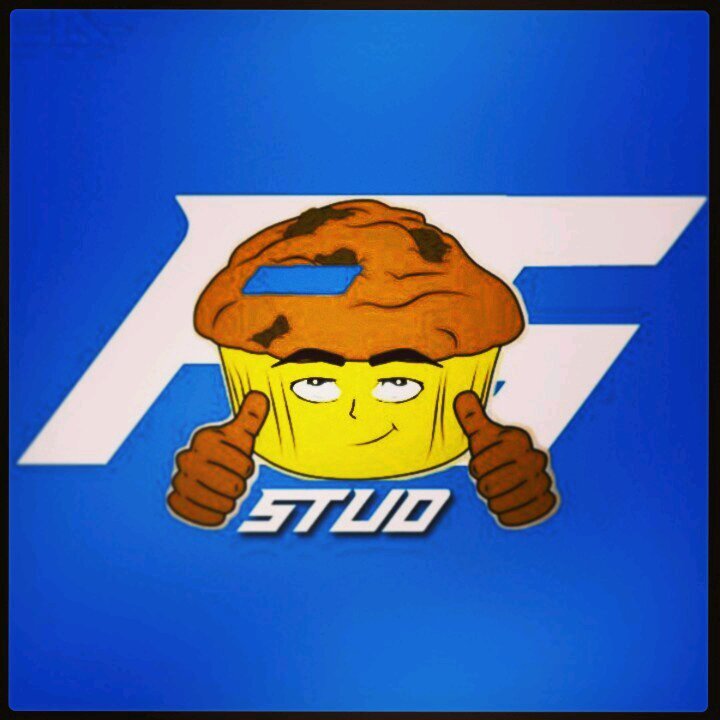 AllusiveMuffin's profile picture. Allusive Gaming MLG captain. Runner of the @_AllusiveGaming Twitter page. Working on editing skills, DM me for free video edits.