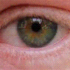 2020_united's profile picture. Be kind to each other.
You never know who might be watching.