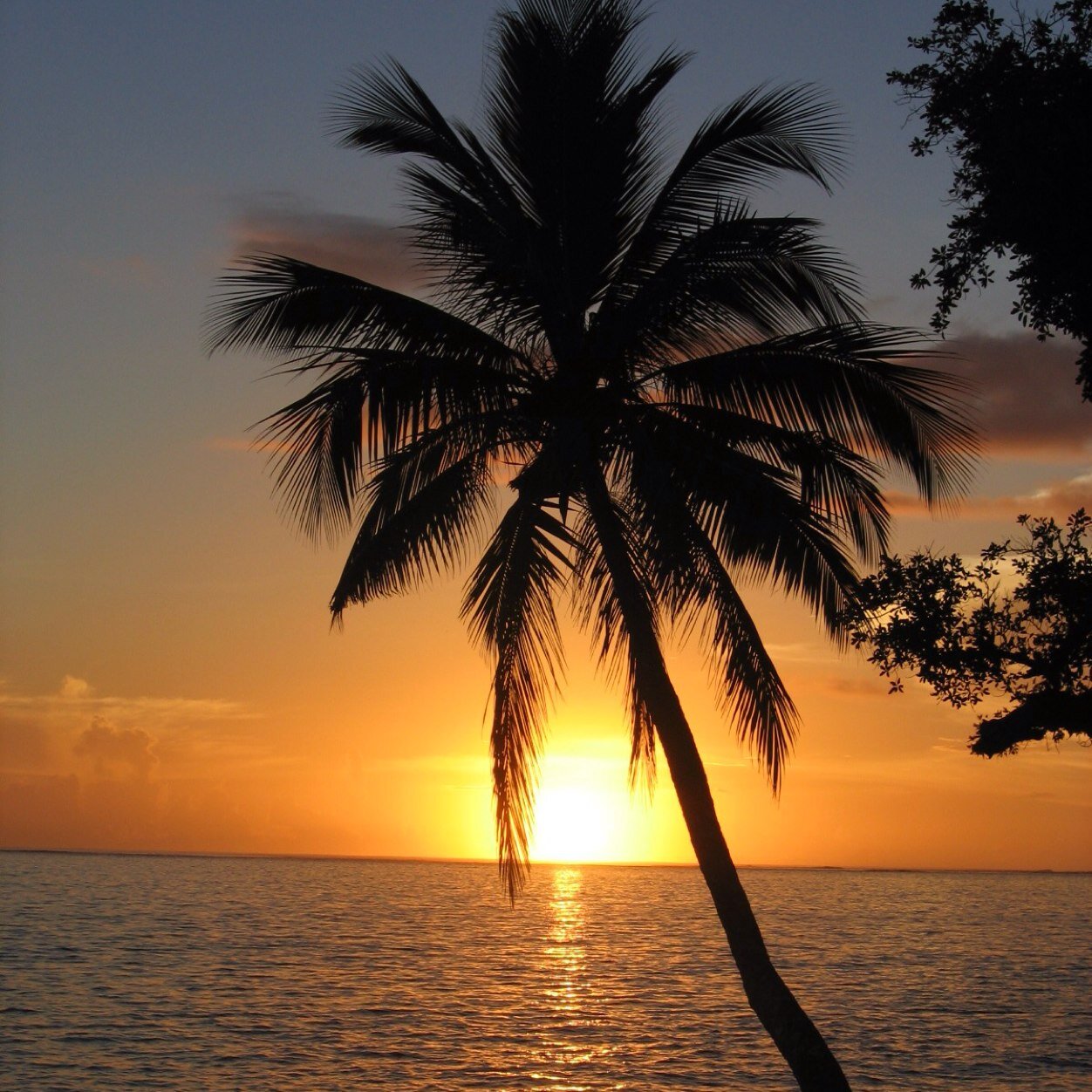 chill_too's profile picture. I'd rather be at the beach