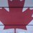 shosswood's profile image