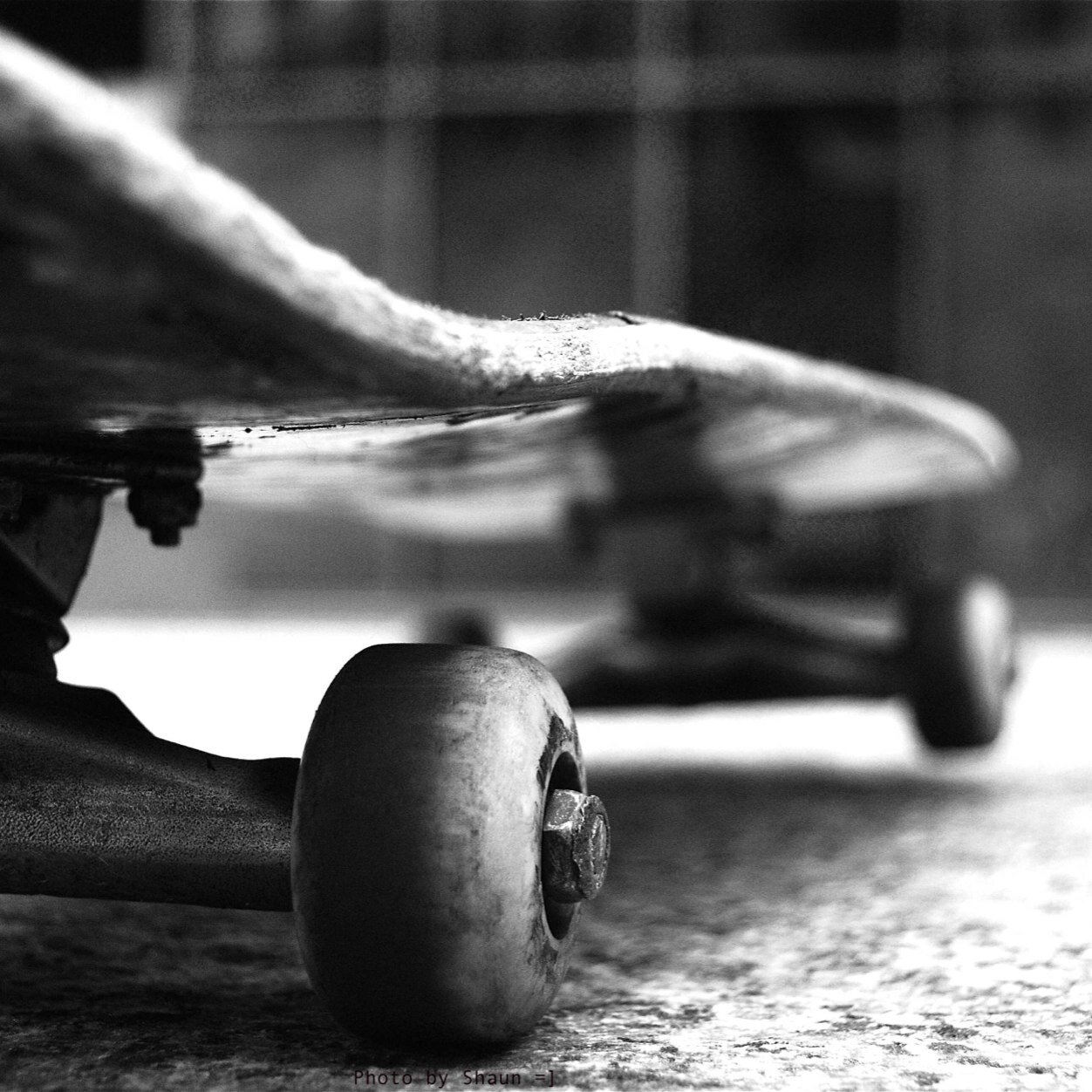 Jeremy but call me Jay, 16, skateboarding, bi, single.
Dont forget about me. Ash, 14, music, skateboarding, bi, single.
