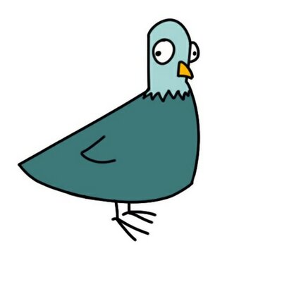 Pigeon Facts (@facts_pigeon) / Twitter Pigeon Facts (@facts_pigeon) / Twitter