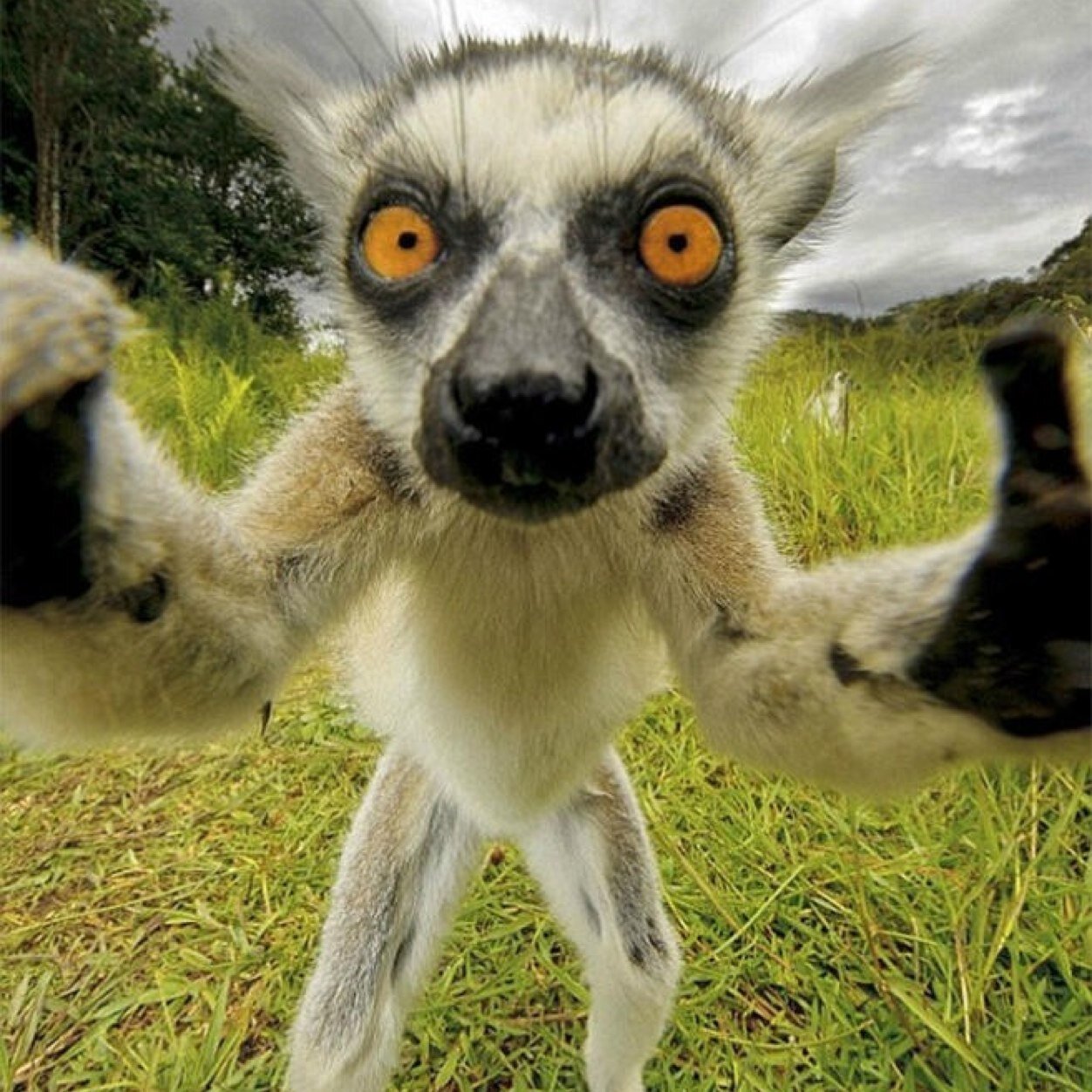 PieraldoM's profile picture. 