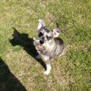 Tammy odom - @OdomTammy14 - Twitter