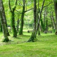 株式投資の情報収集をしています　AIや半導体など