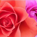 Nellie love - @NellieLove143 - Twitter