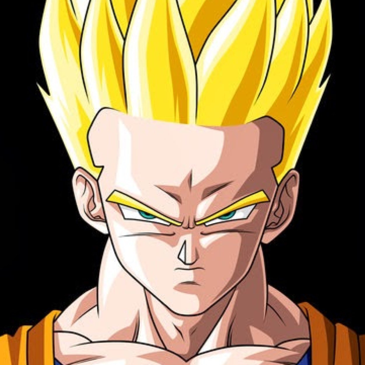 I am the brother of dbzjason_02.I like most of the stuff he does like dragonball z and WWE.
