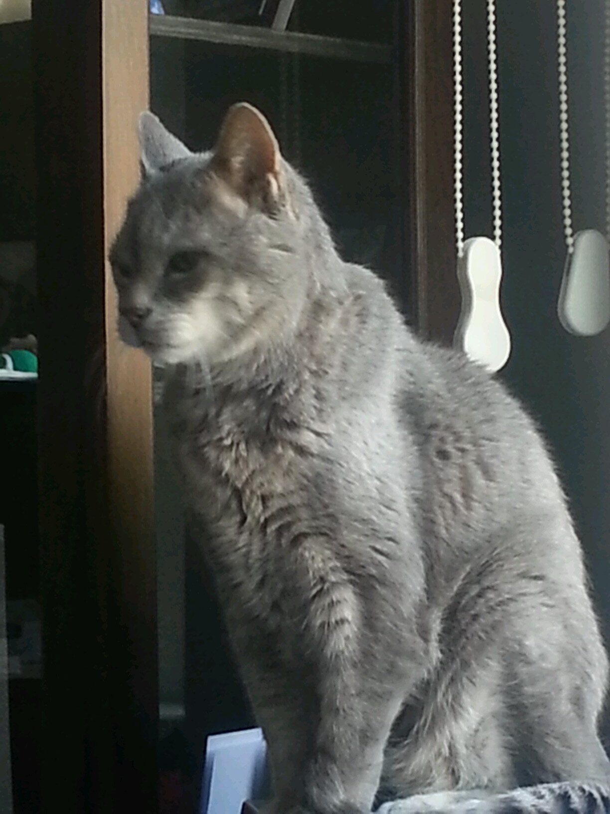 isinoz2000's profile picture. 