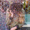 Danielle Blank Cohen - @DC2296 - Twitter