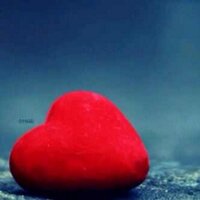 غاب نورك (@ahr4455) Twitter profile photo