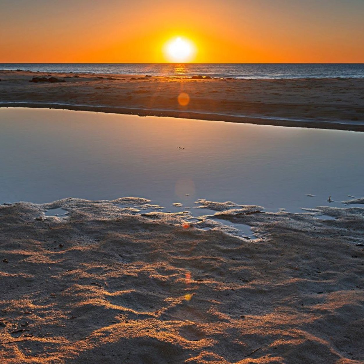 ASPresults's profile picture. The source for all ASP professional surfing results.