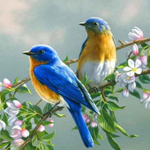 Education, master's in Eng Literature,im very optimistic and i love nature very much.