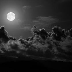 Author of Alpha Enchantment, a paranormal werewolf romance series to be released on Amazon KindleJune 10th, 2014.