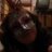 edaayar840's profile image