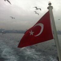 Aydın TÜRK(@prometheusturk) 's Twitter Profile Photo