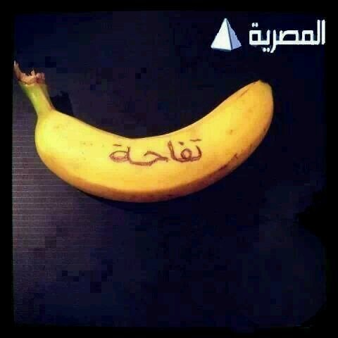 Mohsen34Mr's profile picture. 