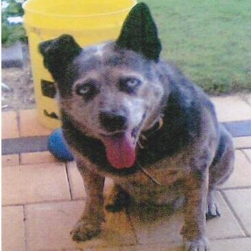 Misty4ever1998's profile picture. I live in Perth WA and enjoy quiet life