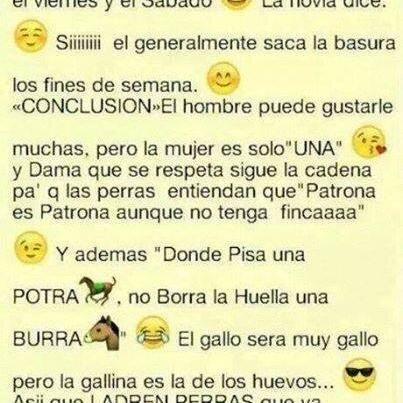 alipinto3's profile picture. 